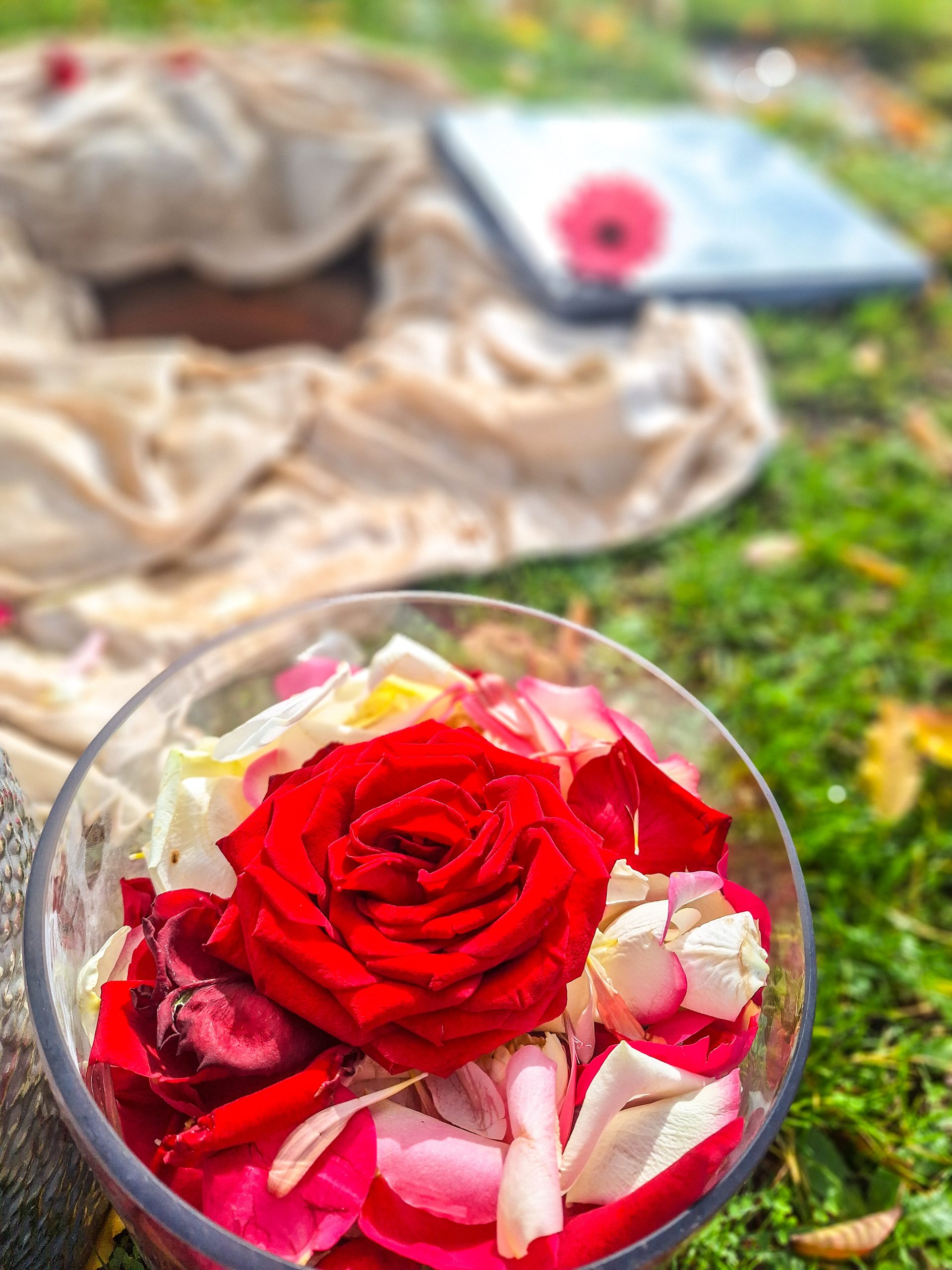 Bestattungen Stenger